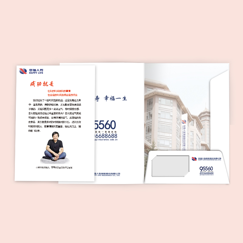 企業(yè)封套設計