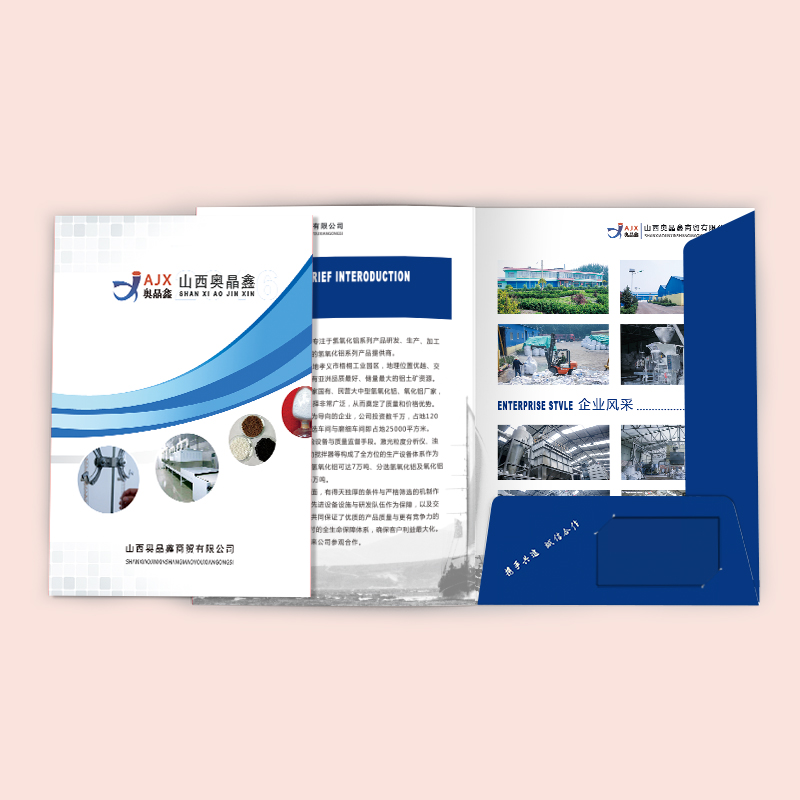 企業(yè)封套設計